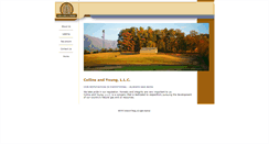 Desktop Screenshot of collinsandyoung.com